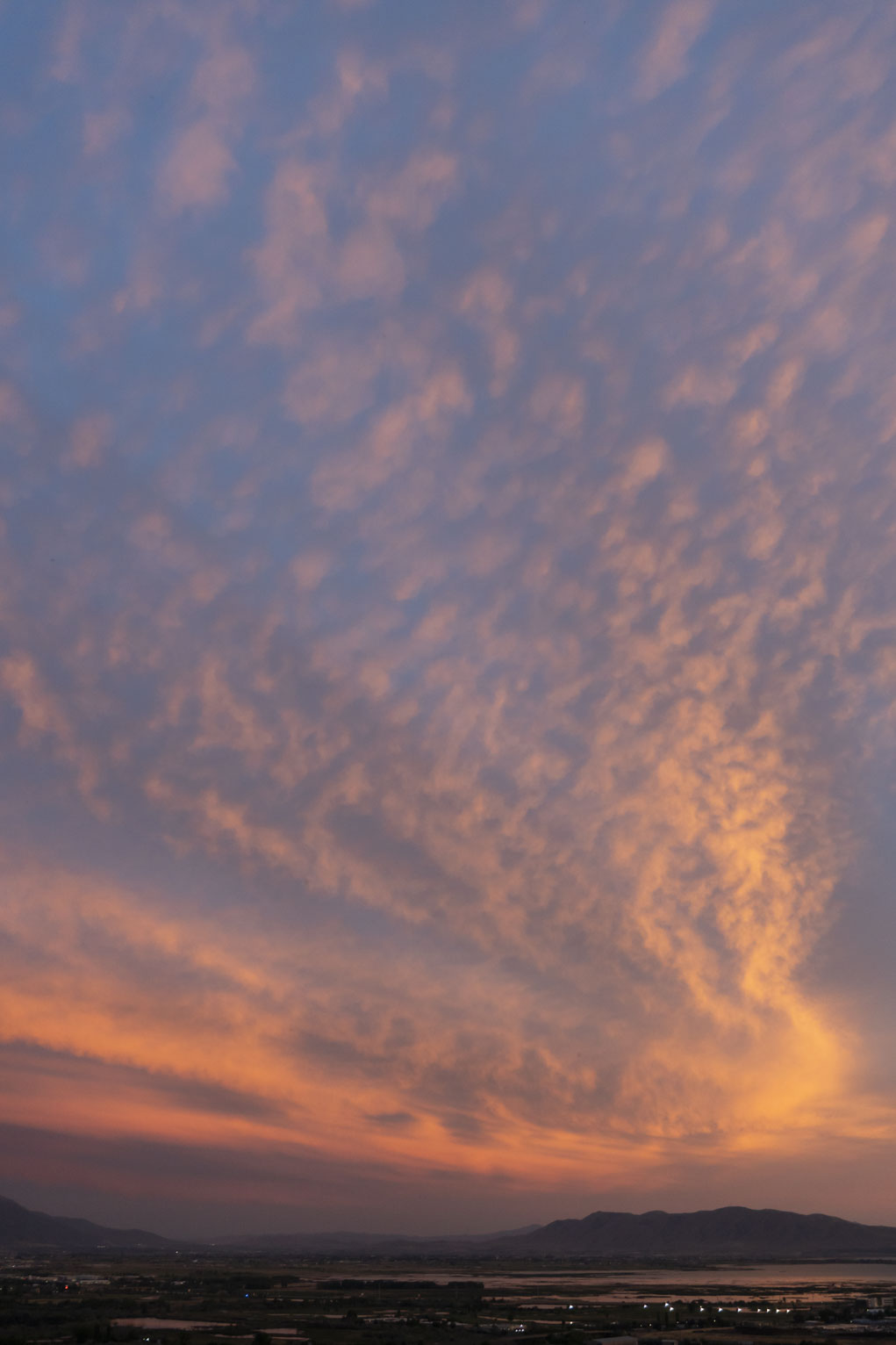 Many small clouds lit orange and pink all the way from the horizon to the zenith